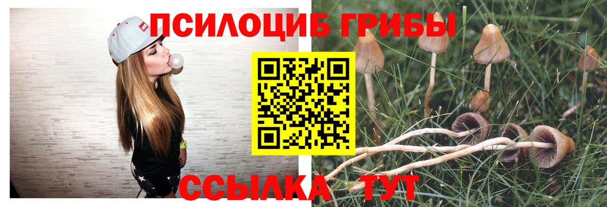 Галлюциногенные грибы Psilocybine cubensis  Псилоцибиновые грибы ЛСД  Малоярославец  Вход с VPN 